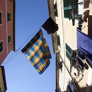 Orfeo Levanto